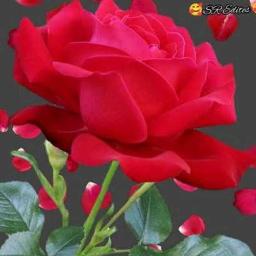 💝 Poo poo poo poo pootha solai💝