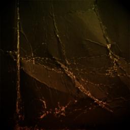 (HQ) మల్లియలారా MALLIYALARA - NIRDOSHI