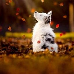 Enadhuyire - Short Cover @_AaDHiL01_