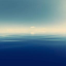 Como Poder Saber Si Te Amo