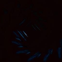 Always Somewhere - 🦂 🎻 ™ 🇷 🇯