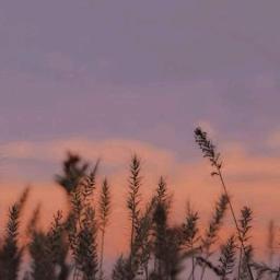 Саша, останься со мной