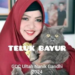 🎉 TELUK BAYUR (versi ultah)🎉