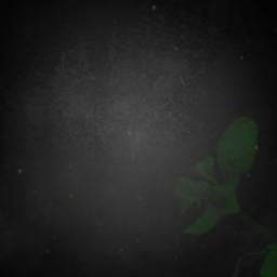 Cintaku - Denden Gonjalez