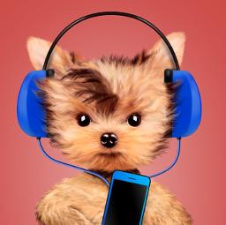 Au clair de tes silences