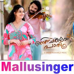 Nenjiloru Paathi ❤️ SHORT| LAST