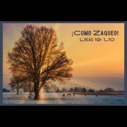 Como Zaqueo