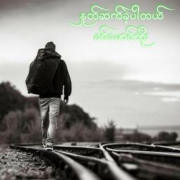 နှုတ်ဆက်ခဲ့ပါတယ်