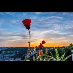 es primavera en tu mirada