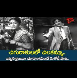 🌹PRS 1016🌹Chigurakulalo Chilakamma