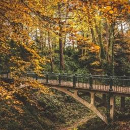 When October Goes (with Autumn Leaves) SATB