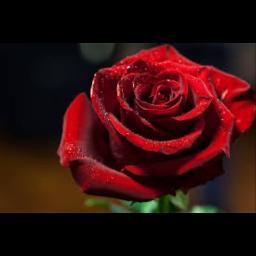 kulkeissaan elontietä synkkää