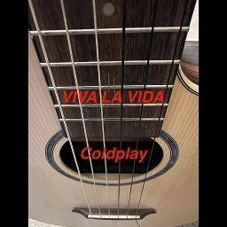 VIVA LA VIDA (acoustic)