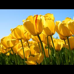 Nur ihr wisst wer ihr wirklich seid