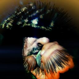 Flying High Again (=^・^=)ﾐｬｰ