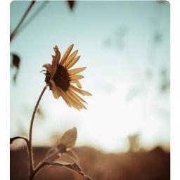 Naan Enbadhu Nee Allavo