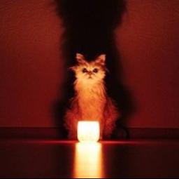 プロポーズ / Propose