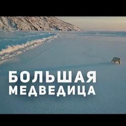 Большая Медведица (минус)