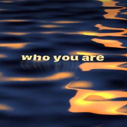 Somewhere In My Broken Heart