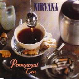 Pennyroyal Tea - ACOUSTIC