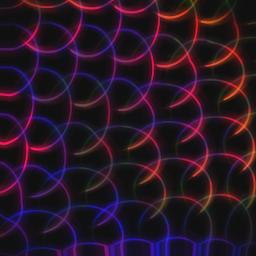 Free the coconut ppl