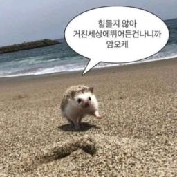 후애