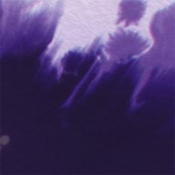 Otherside