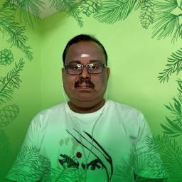 இந்த பச்சை கிளிக்கொரு