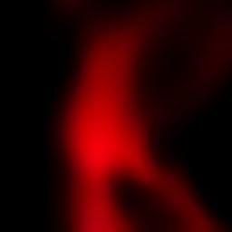 Minha razao de viver