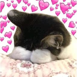 Terlukis Indah (Inst)