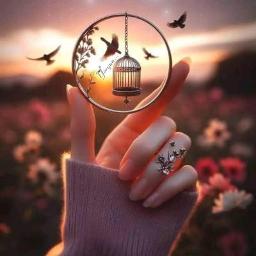 Koşar Gelirdin Gelmek İstesen