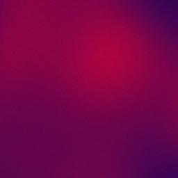 To The Bone - Acoustic