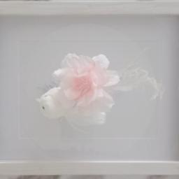 ПОСЛАНИЕ ОТ АНГЕЛОВ