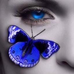 Tá Chorando Por Quê?