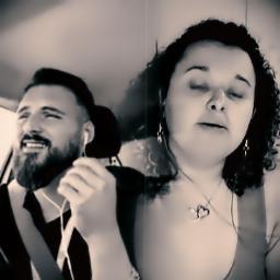 Rondini al guinzaglio (#pianocoveritalia)