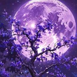 🧡BUTAKAH ⊂꒐⋂⊤⋀ ♡ BUTAKAH BUTAKAH BUTAKAH