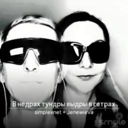 В недрах тундры выдры в гетрах