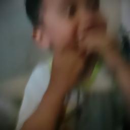 burung kakak tua-bee