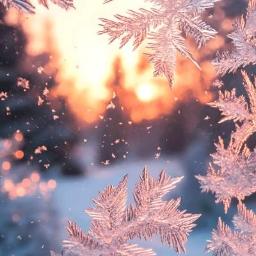 Giấc Mơ Mùa Đông 🎶