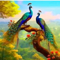 Maadhulam Kaniye ( HQ )