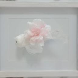 ПОСЛАНИЕ ОТ АНГЕЛОВ