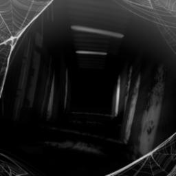 CINTA - 💜 Paramitha　　　　　　paramitha paramitha