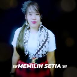 🍃🌸MEMILIH 🅂🄴🅃🄸🄰🌸🍃