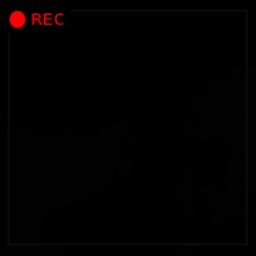 CAMELIA IV Ebiet G Ade Camellia Empat 4