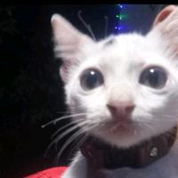 Eb2aa9cd-c3bd-428f-a5e1-6a1a3d2fd9e7