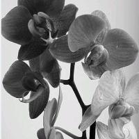 E92eeefc-f823-4a22-9f8d-28fa53bffe1b