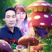 0436c02f-5295-4ada-a4bf-6816e3ecb48f