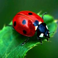 6d0d73d3-34cd-4808-9c45-070a9912e97f