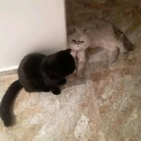 0bb59901-85c6-4c73-a3a0-6412b2967645